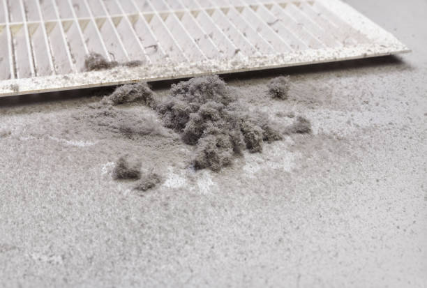 Best Affordable Air Duct Cleaning  in White Castle, LA