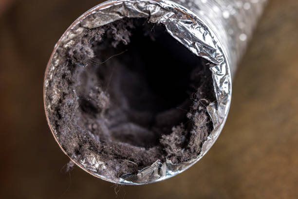 Best Professional Duct Cleaning Services  in White Castle, LA